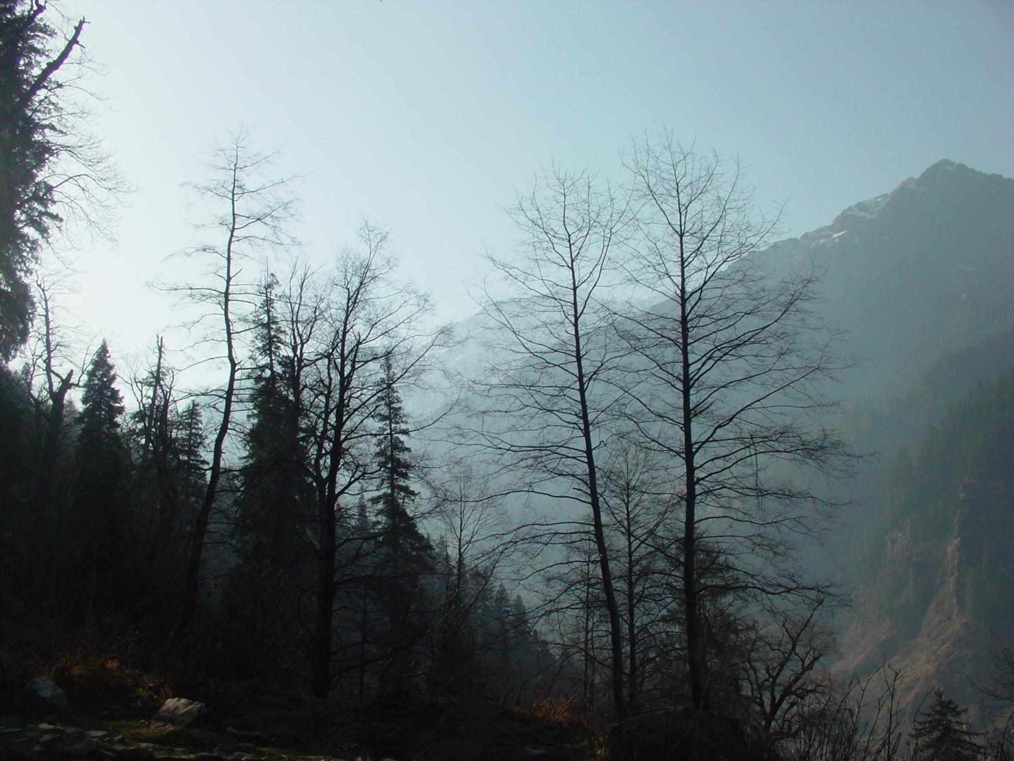 Banon Resorts Manali  Exterior photo